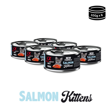 Wet Food for Kittens Salmon, 6 x 100 g cans